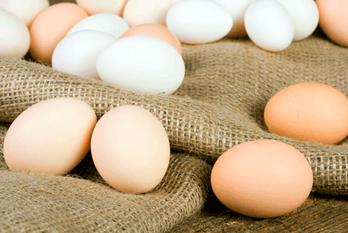 Venta y distribución de huevos frescos